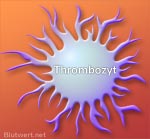 Blutplättchen: Thrombozyt