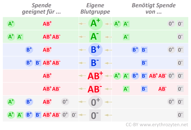 Blutgruppen - Spender und Empfänger (Tabelle)