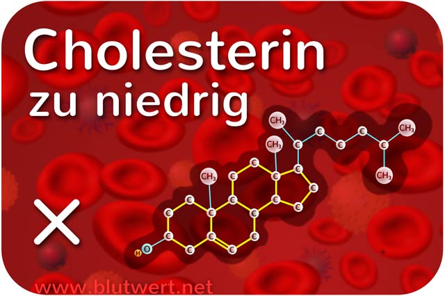 Cholesterin zu niedrig (Blutwert TC vermindert)