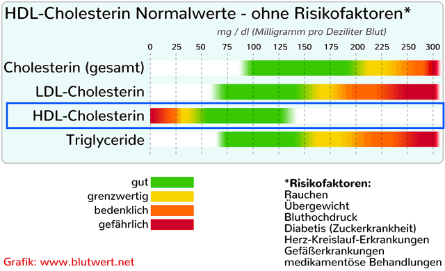 HDL-Cholesterin Normalwerte (Tabelle)
