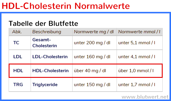 HDL Cholesterin Normalwerte