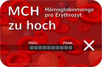 Zu viel Hämoglobin im Erythrozyten: Blutwert MCH erhöht, zu hoch