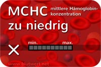 MCHC-Wert vermindert, zu niedrig